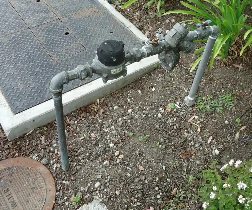 Photo of an above-ground water pipe with a meter and valves beside a utility vault in a mild-climate garden
