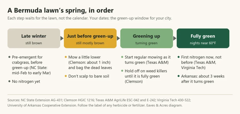 Diagram of spring lawn care order for Bermuda grass, from pre-emergent to the first nitrogen feeding