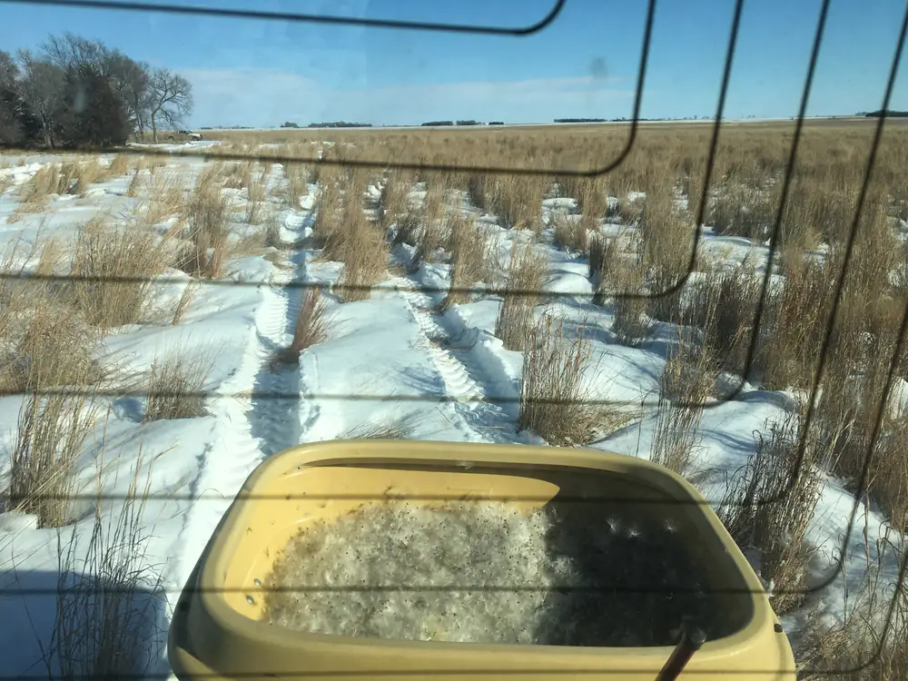 Photo of a seed spreader hopper full of fluffy milkweed seed, seen from a tractor cab over a snowy prairie