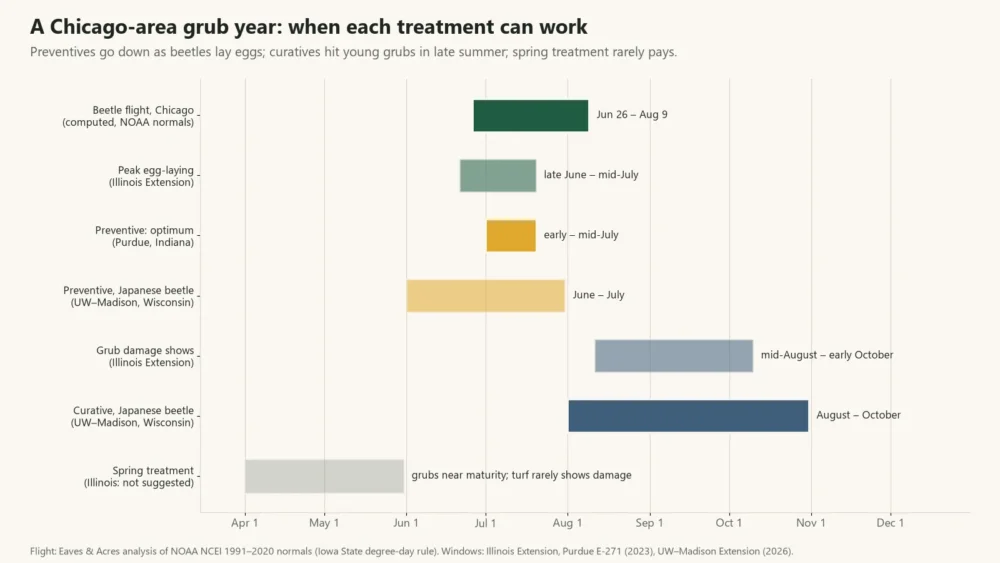 Calendar chart of a Chicago grub year: beetle flight, egg-laying, preventive and curative treatment windows