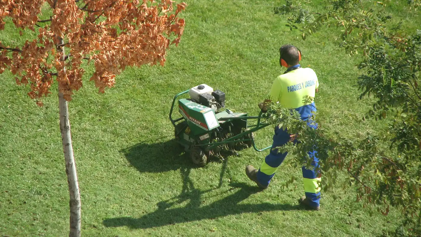 Photo of a groundskeeper pushing a walk-behind core aerator across a green lawn beside a young tree in fall