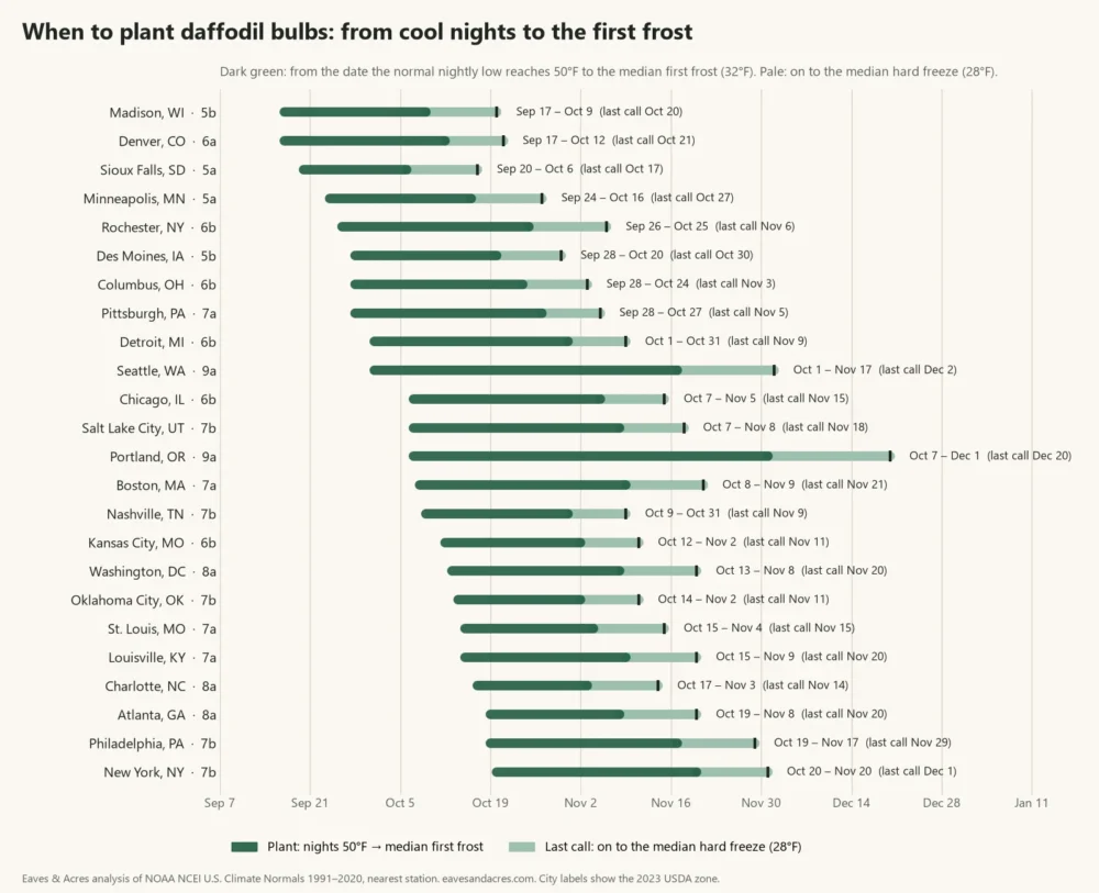 Range chart of the daffodil planting window in 24 US cities, from mid-September in Madison to early December in Portland, OR