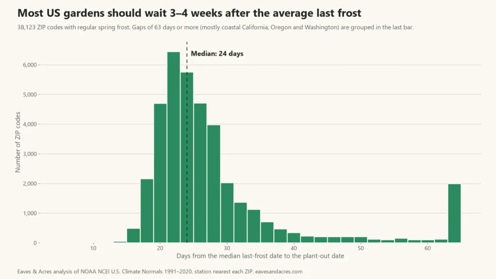 Histogram of days from median last frost to tomato plant-out date across 38,123 US ZIP codes, median 24 days
