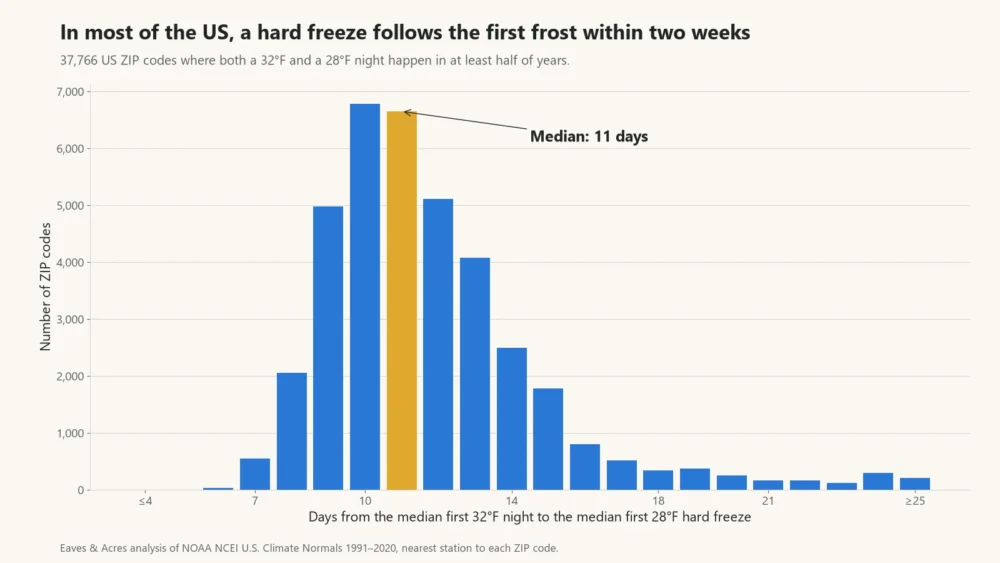 Histogram of days from the first 32°F night to the first 28°F hard freeze in 37,766 US ZIP codes, median 11 days