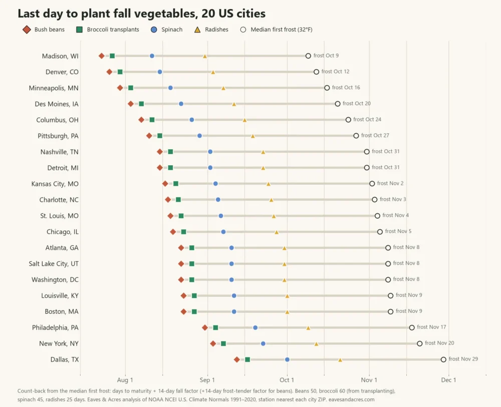 Dot chart of the last fall planting dates for bush beans, broccoli, spinach and radishes in 20 US cities