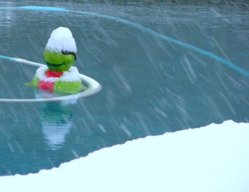 Photo of a frog-shaped floating chlorine tablet dispenser in a pool during a snowfall, dusted with snow