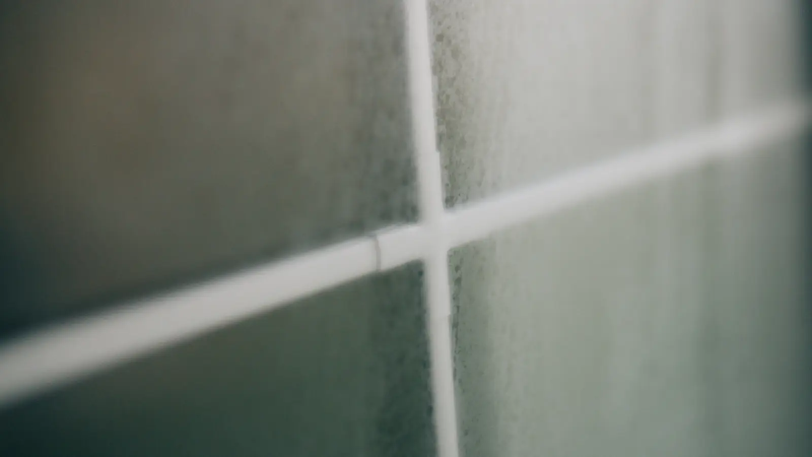 Photo of fogged window glass behind a white grille, covered in fine condensation from humid indoor air