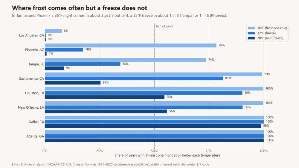 Bar chart of the share of years with a 36°F, 32°F or 28°F night in eight warm US cities