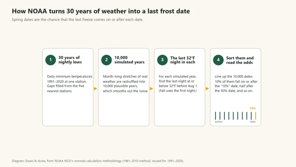 Diagram of four steps NOAA uses to turn 30 years of nightly lows into last frost date odds