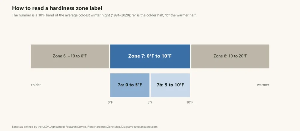 Diagram of hardiness zone 7 as a 0 to 10°F band, split into half-zones 7a and 7b of 5°F each