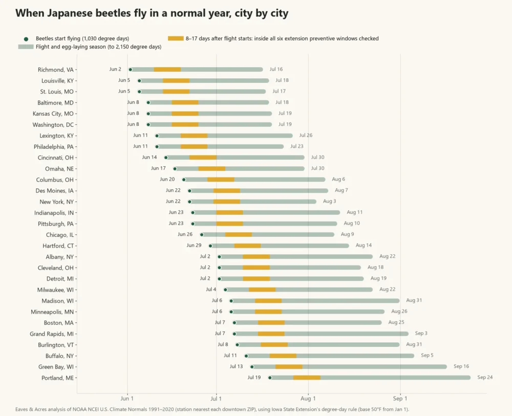 Chart of Japanese beetle flight seasons in 29 US cities, from Jun 2 in Richmond to Jul 19 in Portland, Maine