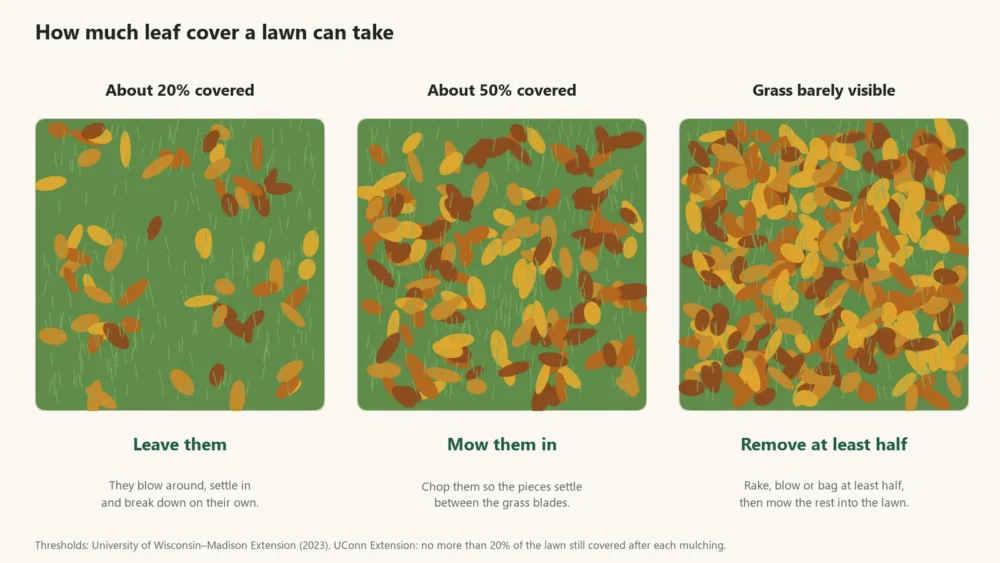 Diagram of lawns with 20%, 50% and nearly full leaf cover: leave them, mow them in, or remove at least half