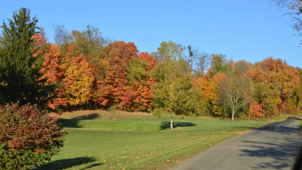 Photo of a freshly mown green lawn with scattered fallen leaves below red and orange fall trees in Ohio