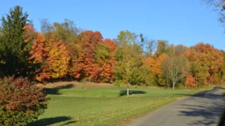 Photo of a freshly mown green lawn with scattered fallen leaves below red and orange fall trees in Ohio