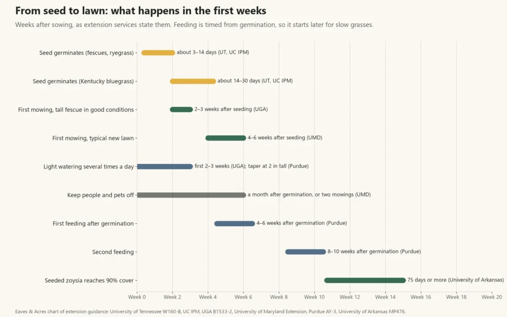 Timeline chart of germination, first mowing, foot traffic and feeding in the weeks after sowing grass seed