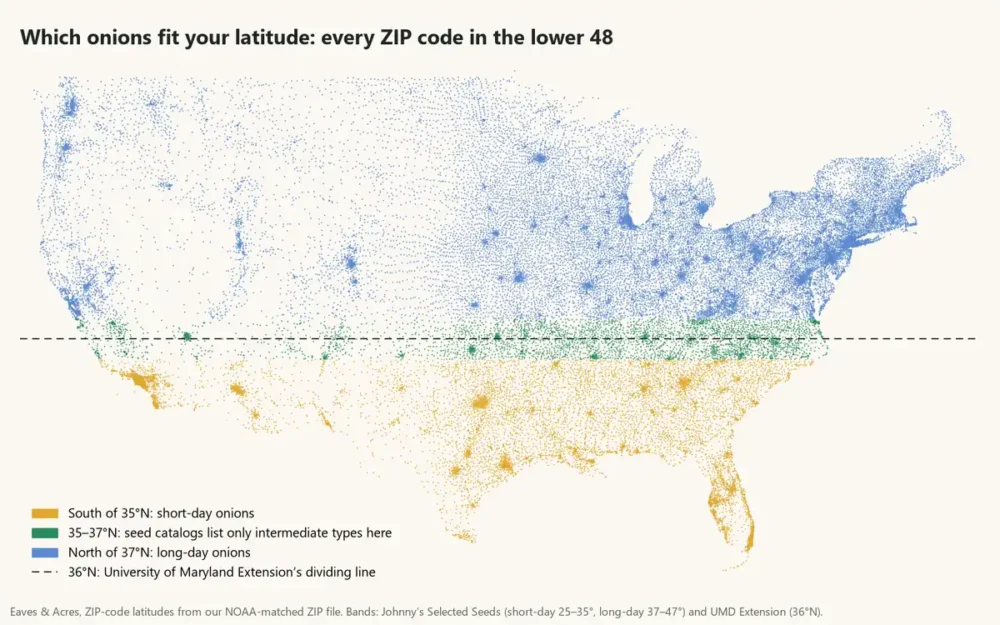 Dot map of US ZIP codes colored by onion type: short-day in the South, intermediate near 36°N, long-day north
