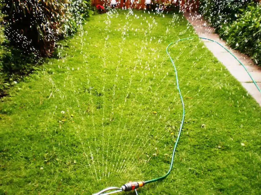 Photo of an oscillating hose-end sprinkler watering a narrow backyard lawn beside a garden path