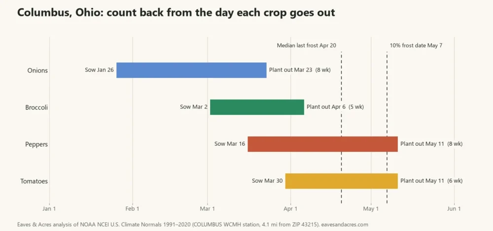 Timeline chart of sowing and planting-out dates for onions, broccoli, peppers and tomatoes in Columbus, Ohio