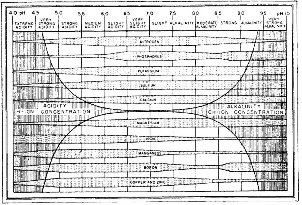 Historic USDA diagram showing how the availability of 12 plant nutrients changes across soil pH from 4 to 10