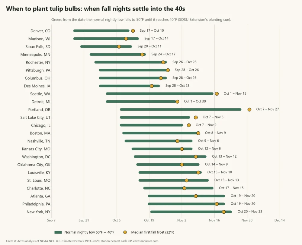 Range chart of the tulip planting window in 24 US cities, from mid-September in Denver to late November in Portland, OR