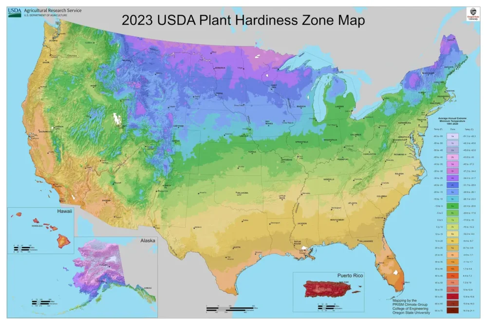 Map of the 2023 USDA plant hardiness zones across the United States, colored by average coldest winter night
