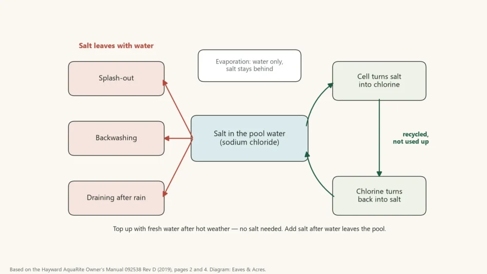 Diagram showing pool salt recycled by the chlorinator cell and lost through splash-out, backwashing and drained rain