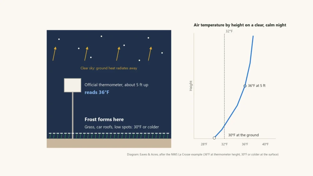 Diagram of a clear, calm night with 36°F at thermometer height and 30°F with frost at ground level