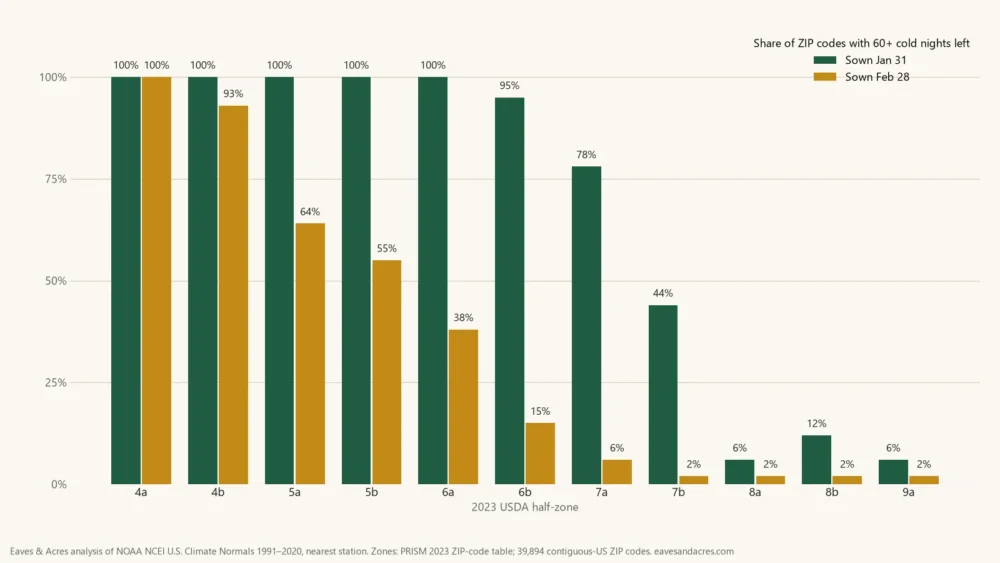 Bar chart of the share of ZIP codes in each hardiness zone where a Jan 31 or Feb 28 sowing still gets 60 cold nights